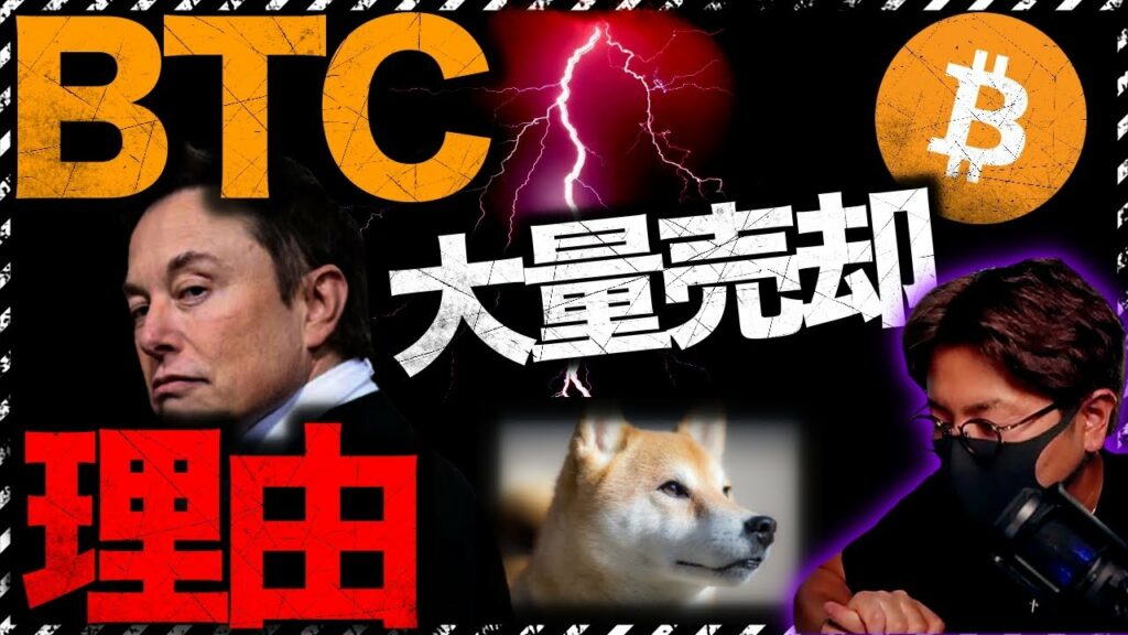 テスラBTC大量売却の理由。投資家はまだまだ強気?