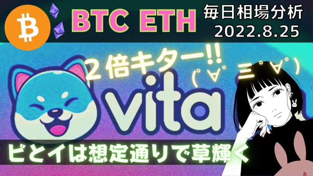ビットコイン分析│イーサ予想通りわろたですね…VINU来たので報告│2022年8月25日