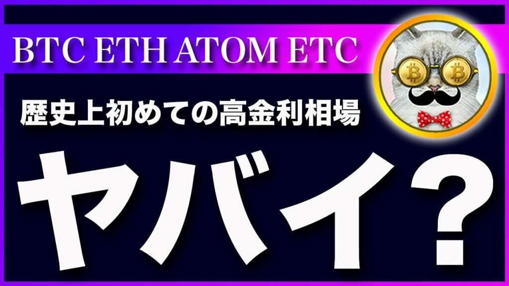 【未知の相場】ビットコイン・現役の仮想通貨トレーダーが誰も経験したこと無い相場が来ます!【仮想通貨・戦略を先出しで毎日更新】