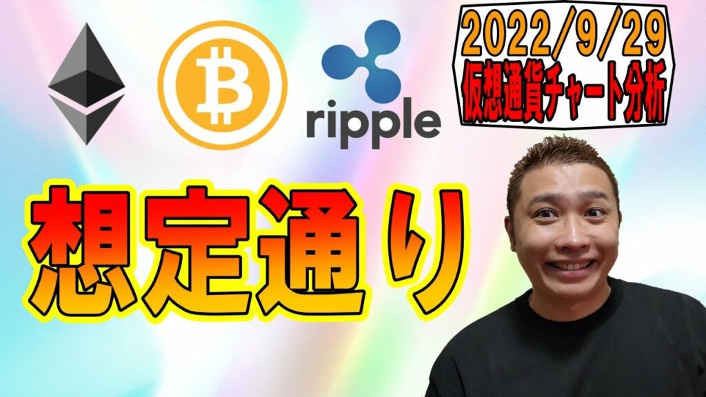 【仮想通貨 ビットコインBTC & アルトコイン 分析】想定通りの動きが来た!!シナリオに合わせて利確!!!