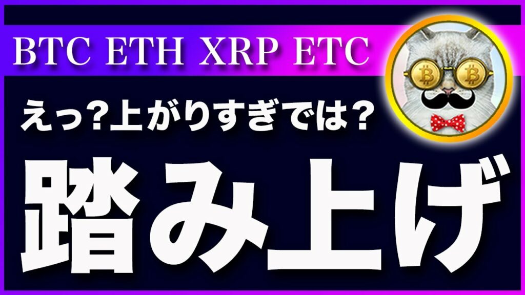 【反発の理由!】ビットコイン・再び2万ドル回帰!リスク資産が上昇した理由を考察【仮想通貨・戦略を先出しで毎日更新】