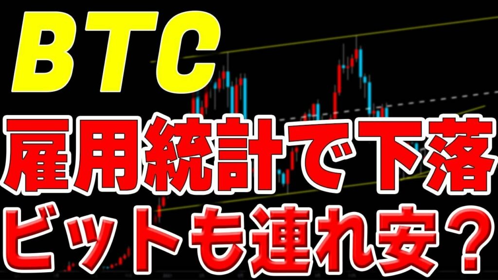 【仮想通貨ビットコイン】雇用統計でナスダックは下落基調。ビットコインも巻き込まれる?!