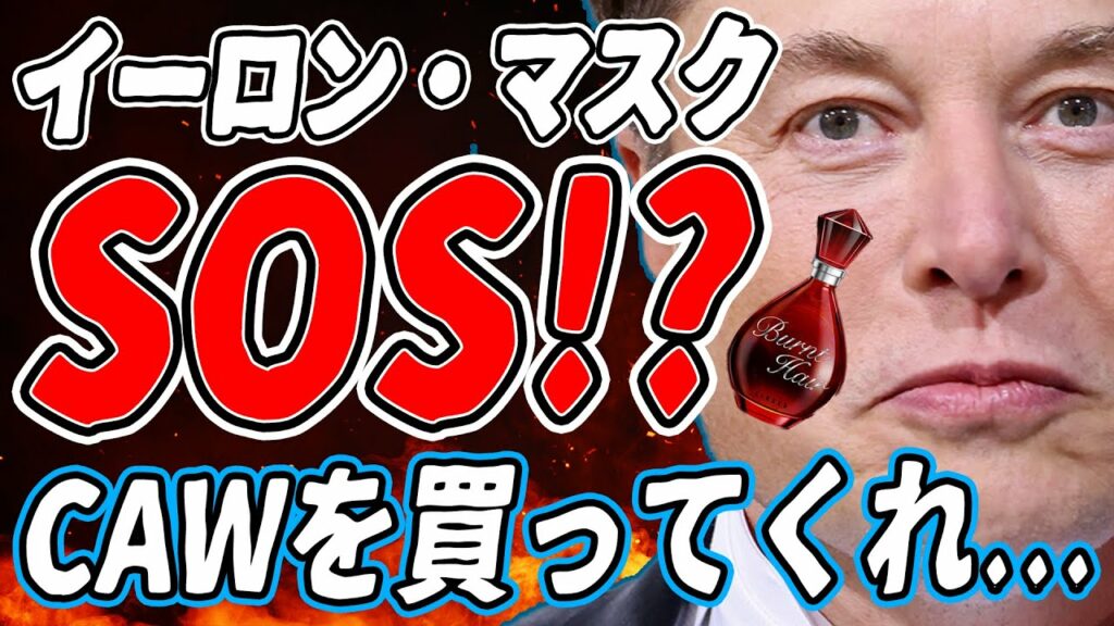 【仮想通貨】イーロンマスクからのSOS!?CAWを買ってTwitter買収計画!?【CAW・イーロンマスク・A Hunters Dream・Burnt Hair】