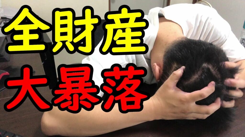 仮想通貨に全財産255万入れたら大暴落したので反省会します【2022年9月12日~9月18日】~バカって言ってごめん~