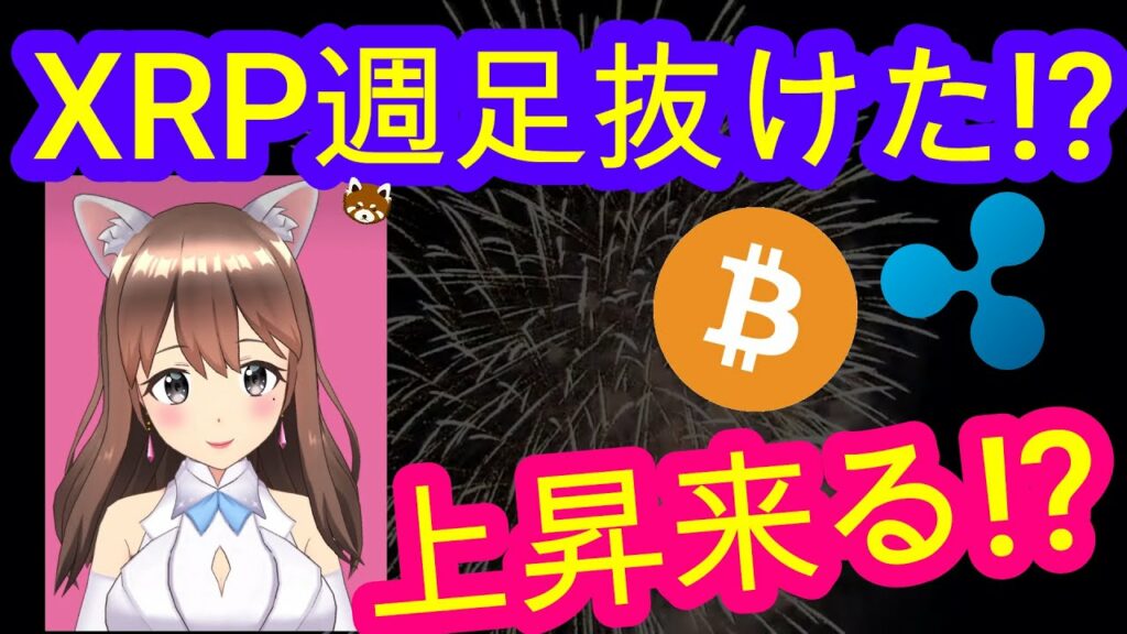 08/02【仮想通貨】BTC・XRP♡インスタは説明欄から登録してね↓↓↓週足/月足確定後の展望をお伝えします♡