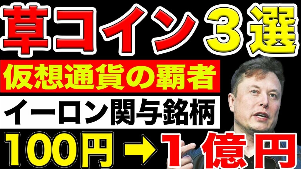 【仮想通貨】イーロンマスク関連億れる銘柄3選【アルトコイン】草コイン