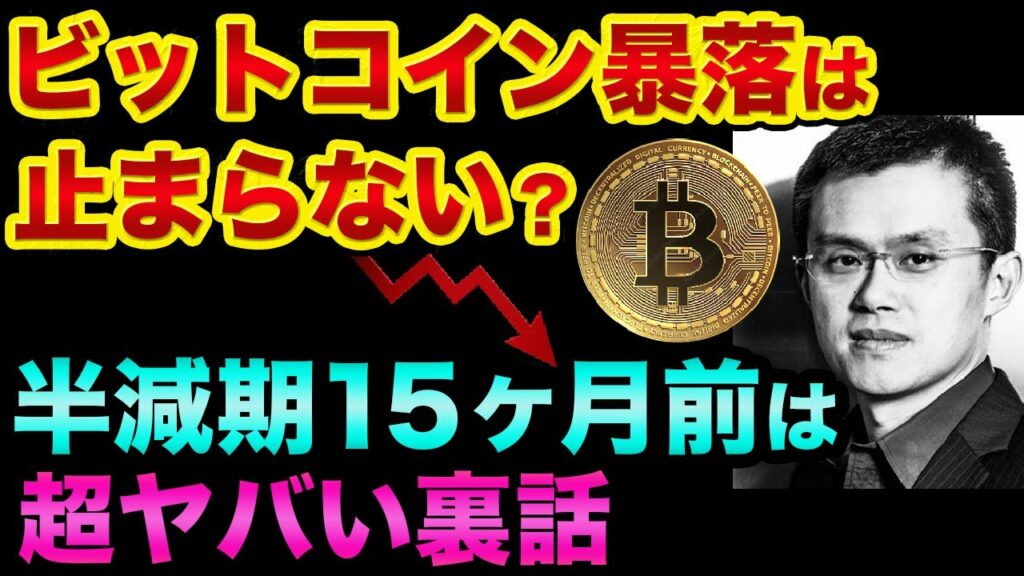 ビットコイン暴落は止まりません。半減期15ヶ月前は超ヤバい裏話。FTX破綻とソラナがヤバすぎる【 ビットコイン 仮想通貨 日経平均 リップル イーサリアム 都市伝説 MACD ソラナ FTX 】