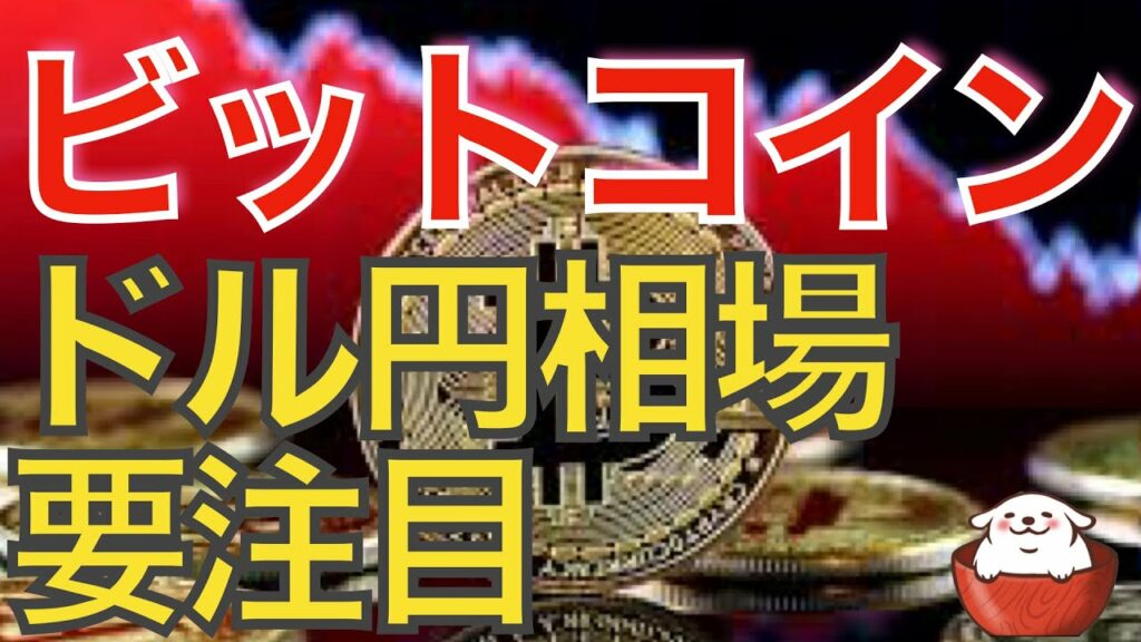 【仮想通貨 ビットコイン】ドル円にサプライズが起きればビットコインも大きく反応するかもしれません(朝活配信974日目 毎日相場をチェックするだけで勝率アップ)【暗号資産 Crypto】