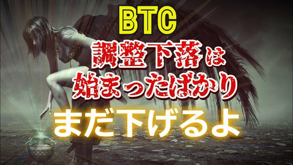 ビットコインの調整下落は始まったばかり。まだ下げるよ。