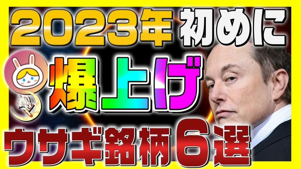 【2023年に爆上げする仮想通貨】イーロンマスクが注目するウサギ銘柄6選【Rabbit2023】【仮想通貨女子】【初心者必見】