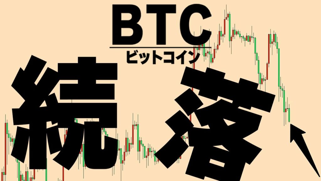 【暴落】気になるこの後の値動きを解説します【仮想通貨ビットコイン/BTC】