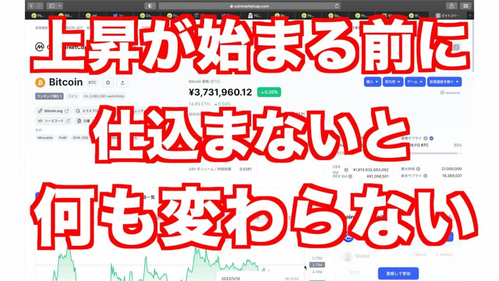上がるなら直近でミームが来る!過去ミーム🐸
