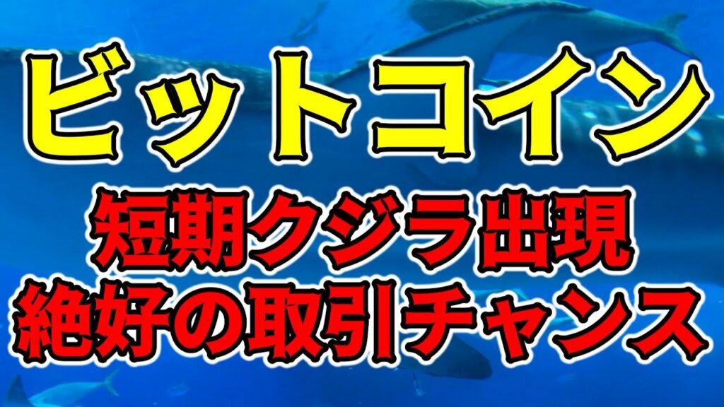 【仮想通貨 ビットコイン】短期クジラ出現でボラティリティ急増中!まずは下げ止まりポイントの見極めから(朝活配信1181日目 毎日相場をチェックするだけで勝率アップ)【暗号資産 Crypto】