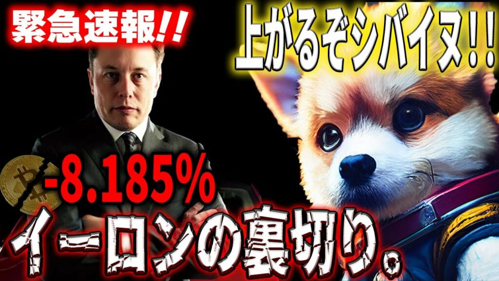 【緊急】イーロンマスク“前代未聞”の大事件です。これからのシバイヌに期待!