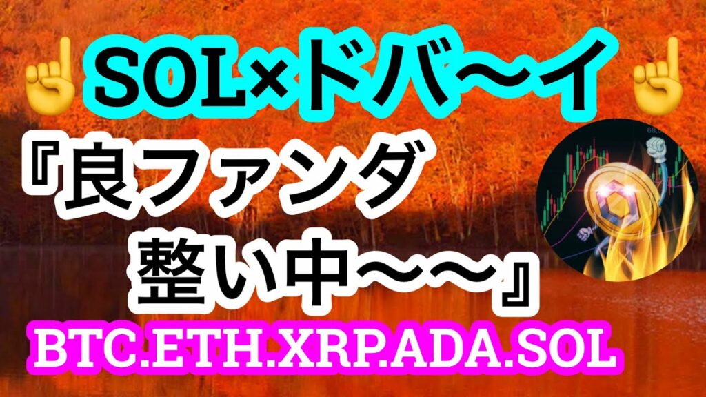 ビットコインがフェイクニュースで急騰‼️本番はまだ先に💃🏽【仮想通貨 BTC.ETH.XRP.ADA.SOL】
