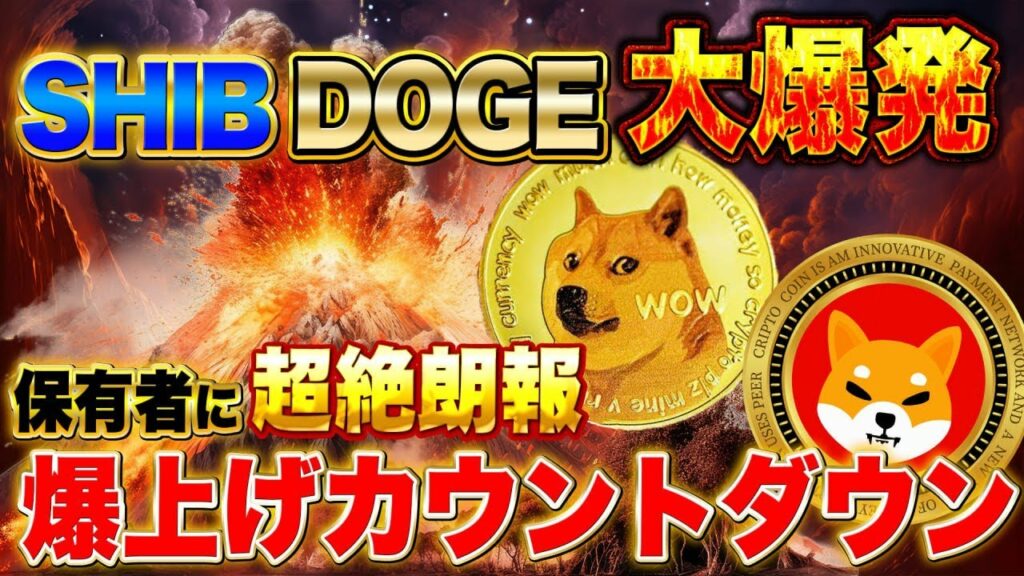 シバイヌコインとDOGE【保有者に超絶朗報】大高騰間違えなし!爆上げカウントダウンはすでに始まっている!?【仮想通貨】