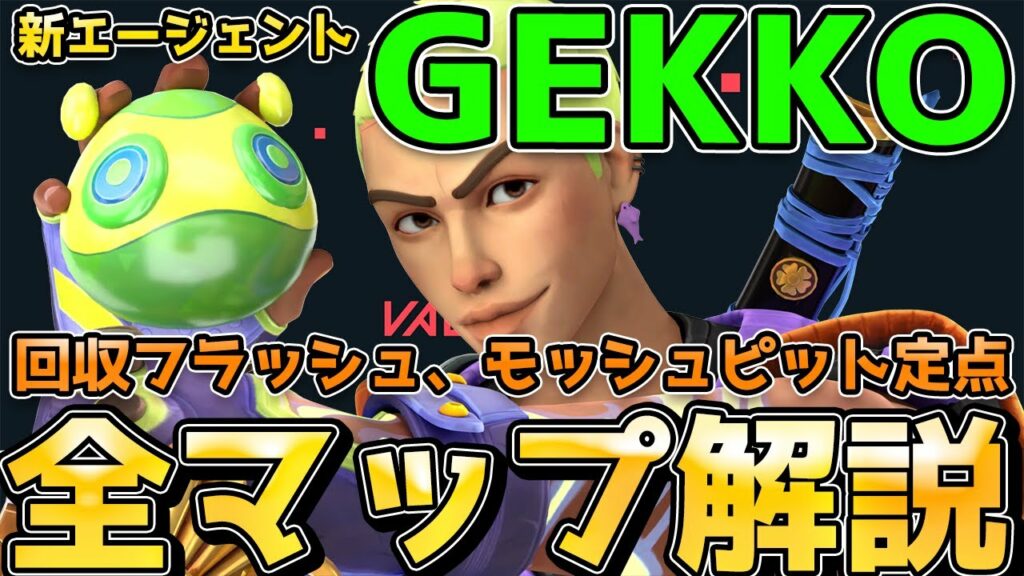 【Valorant】ゲッコーの定点を全マップで解説!モッシュピットと回収ディジーの使い方!【アセント ヘイヴン アイスボックス etc.】