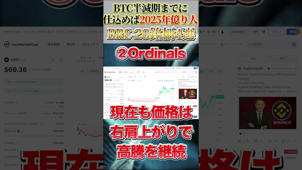 【仮想通貨バブルで億り人】2024年仕込むならコレ一択!!BRC20銘柄でバイナンスが初出資‼先行者利益”億”を掴め!!【仮想通貨】【ビットコイン】【BRC20】【KOITrading】