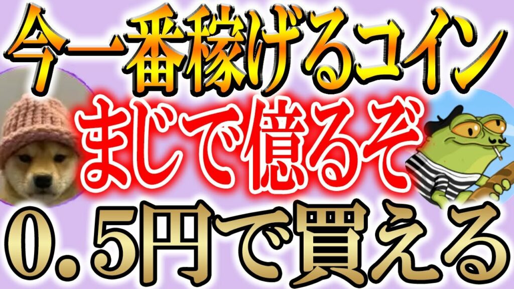 【今すぐ仕込むべき2選!!】少額で億を稼げるコイン教えます!【仮想通貨/暗号資産/dogwifhat/Frogwifhat】