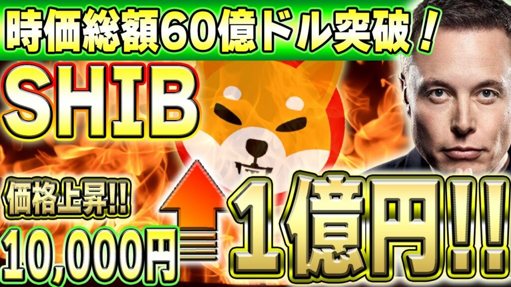 【シバコイン】2024年SHIB爆上げを狙ってる人は必ず見て下さい!!【仮想通貨】【SHIB】【DOGE】【イーロンマスク】【柴犬コイン】【BRC-20】【Bitcoin】【ETF】
