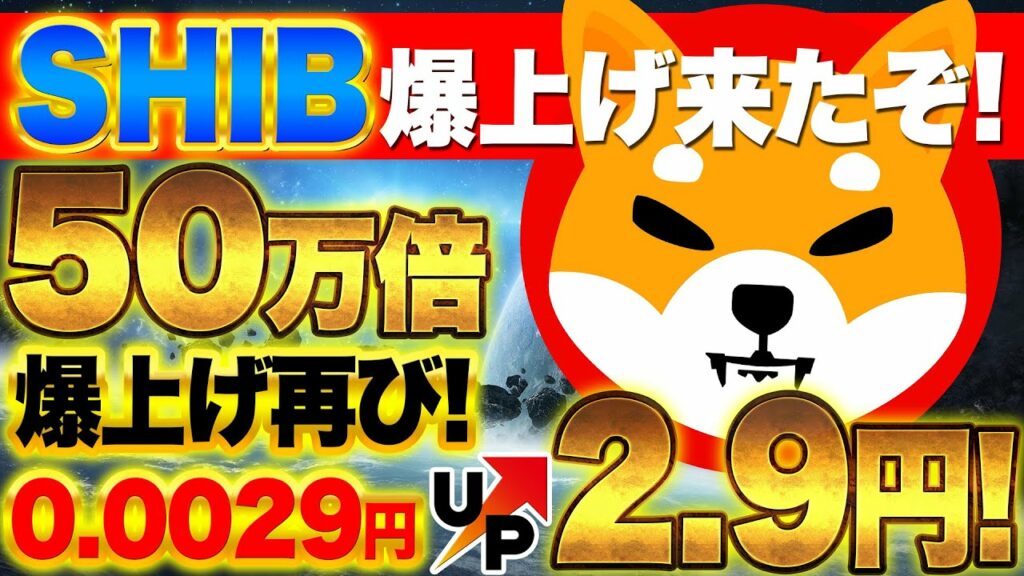 【仮想通貨SHIB】SHIB爆上げ来たぞ!SHIBが50万倍の爆上げが再び来るために、これを知っておきましょう!