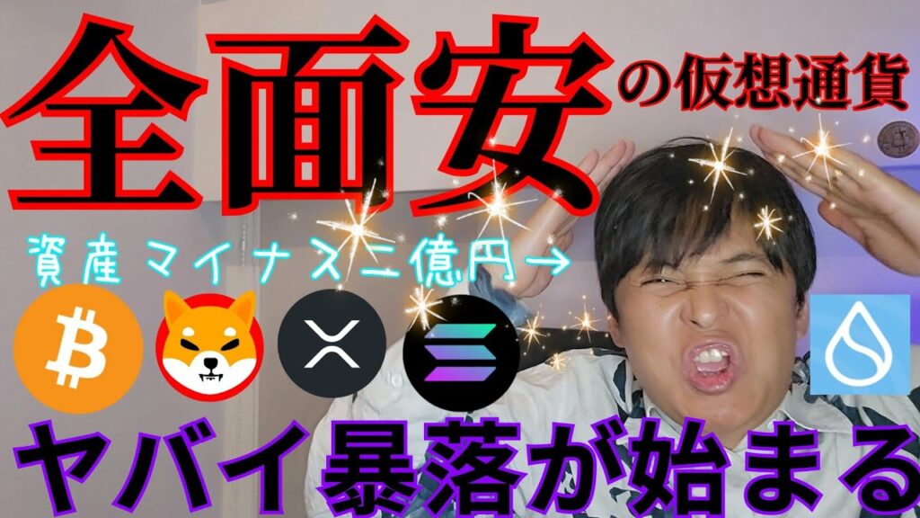 仮想通貨 全面安で資産マイナス二億円。ヤバイ暴落が始まる??