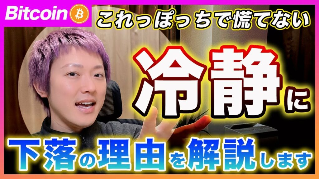【慌てない!】ビットコイン・この下落の理由と今後に見るべきチェック項目を解説します!【最新の仮想通貨分析を公開】