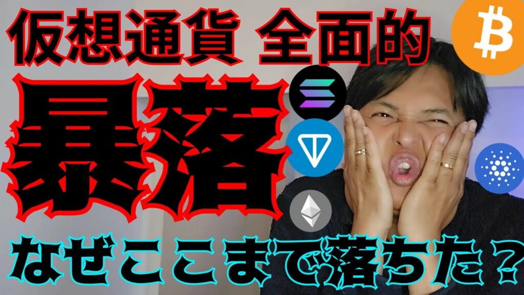 【仮想通貨 全面的に暴落】ビットコイン アルトコイン なぜここまで落ちた??