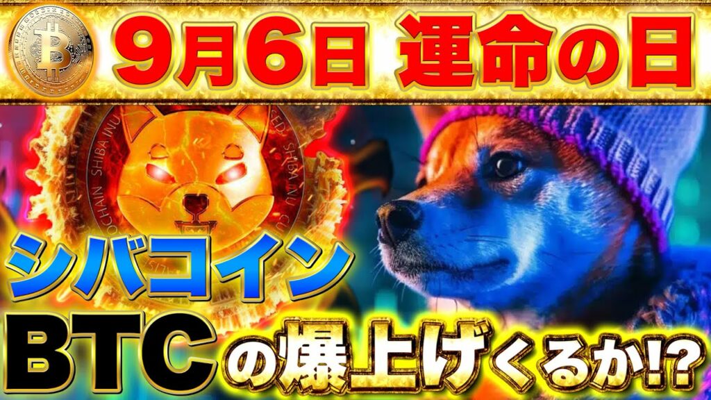 【仮想通貨】9月6日に価格急騰がくるのか!?9月の運命を決める1週間、シバコイン1兆枚を保有する投資家が動いた!(BTC、SHIB、FET)